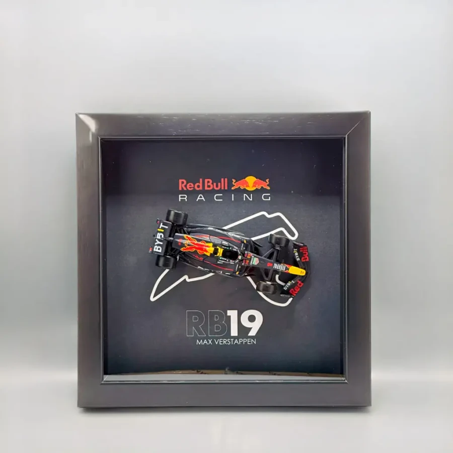 Max Verstappen RB19