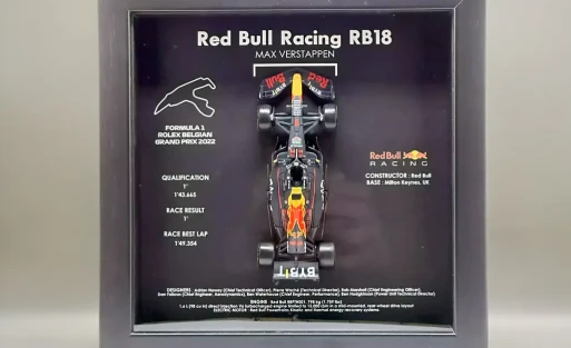 Max Verstappen GP F1 Belgian GP RB18